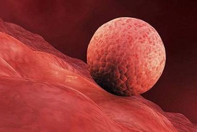 2026年浙江省权威助孕机构榜单揭晓，试管婴儿医院推荐一览无遗