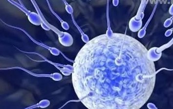 2026哈萨克斯坦试管具体流程是怎样的？技术怎么样？