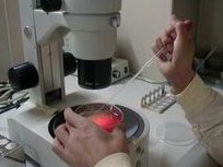 2026岳阳试管医院排行，妇幼医院成功率优秀