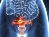 2026年上海试管婴儿私立医院哪家好？新出炉试管医院攻略