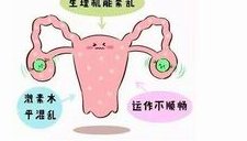 2026安全生育中心（SFC）泰国试管婴儿成功率在60%%之间