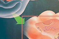 2026山东省烟台市十大正规助孕机构盘点，这三家更方面很完美