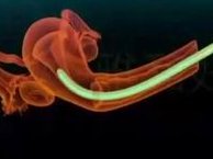 2026上海集爱医院试管助孕流程和费用，做试管助孕要具备什么条件