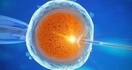 2026年三代试管婴儿全程费用揭秘，三大类别全解析