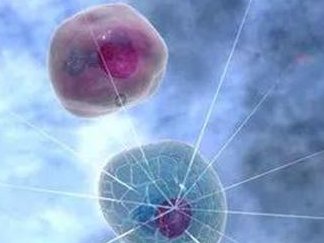 2026失独高龄家庭能做试管婴儿吗？