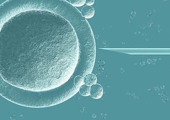 2026南昌做三代试管婴儿费用价目表最新，附高成功率医院及流程分析