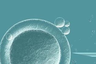 2026上海试管婴儿排名前三的医院有哪些？上海试管医院一览